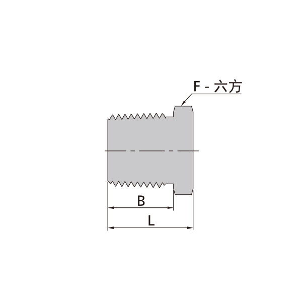 NPT外螺纹堵头
