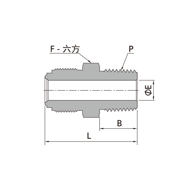 MVCR转MNPT本体