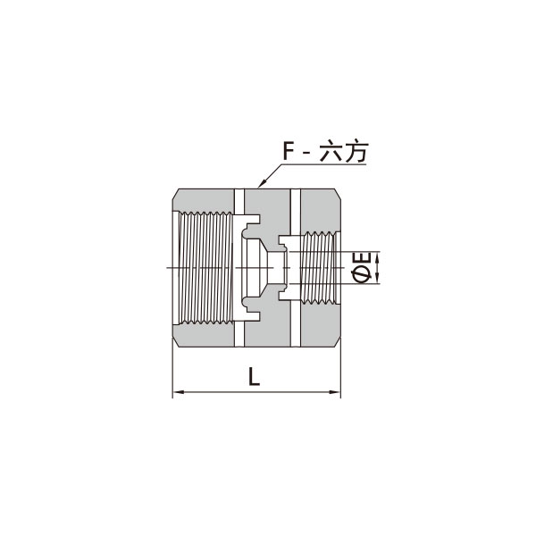 FVCR变径本体