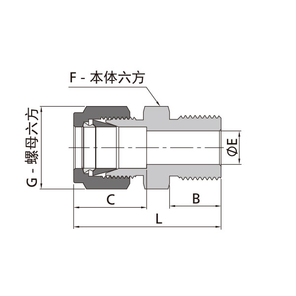 卡套转ISO平行外螺纹直通（外螺纹顶部垫片密封）