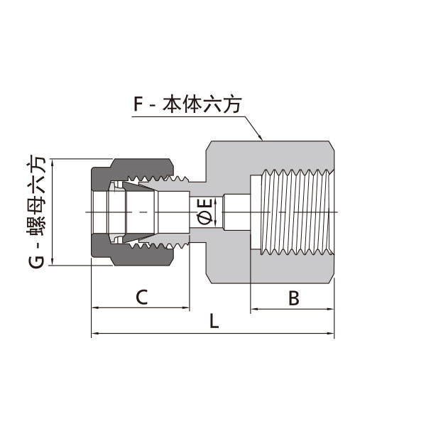 公制卡套转ISO平行内螺纹直通