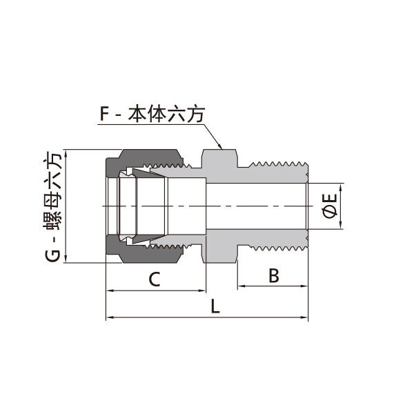 英制卡套转公制外螺纹直通（外螺纹顶部垫片密封）
