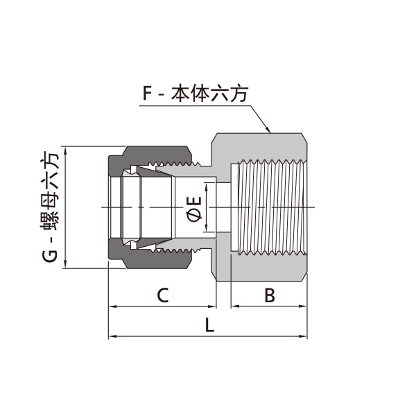 英制卡套转公制内螺纹直通