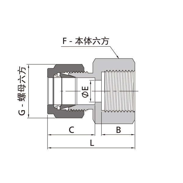 公制卡套转公制内螺纹直通
