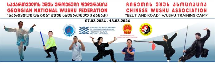 中国武术教学团赴格鲁吉亚开展“一带一路”武