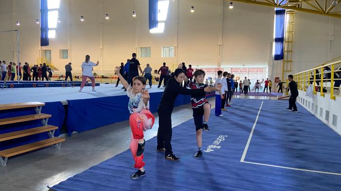 中国武术教学团赴格鲁吉亚开展“一带一路”武