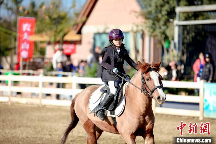 年轻群体通过马术运动收获治愈与释放压力